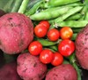 Keyhole Vegetable Garden Spring 2012 Picture