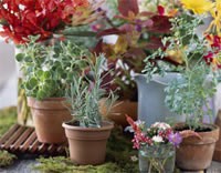 Container Garden Pots Container Garden Pots