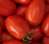 Fresh Salsa Hybrid Tomato