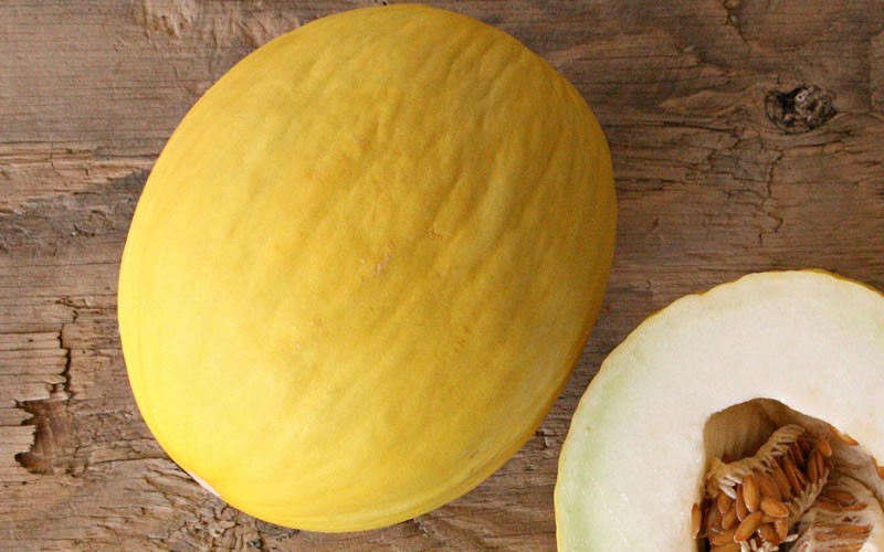 Gold Canary Cantaloupe Picture