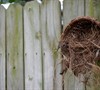 A place for the birds to rest