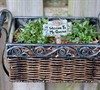Hanging Fence Garden Picture
