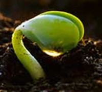 Picture of Paul Redmond