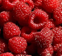 Heritage Red Raspberry  Picture