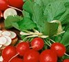 Cherry Belle Radish