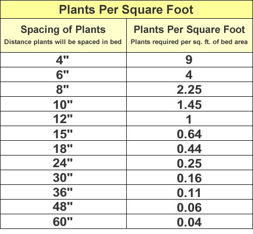 Square Foot Chart