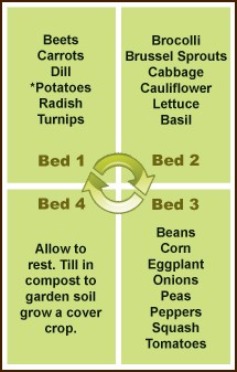 Vegetable Crop Rotation Chart 2