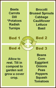 853-Vegetable-Crop-Rotation-Chart.jpg