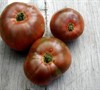 Cherokee Purple Tomato