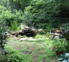 Pond Garden Picture
